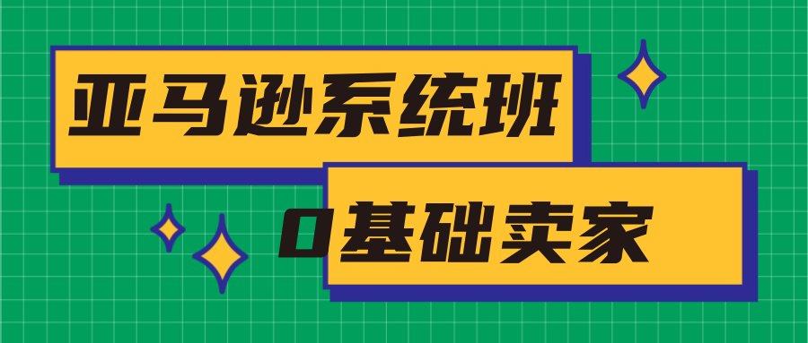 亚马逊系统班，专为0基础卖家量身打造，亚马逊运营流程与架构-开心分享网