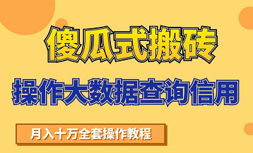 搬砖操作大数据查询信用项目赚钱教程，祝你快速月入6万-开心分享网