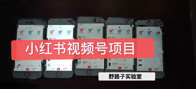 野路子小红书视频号1.0项目,直接上手操作就能赚钱的视频号项目-开心分享网