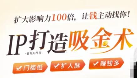 IP打造吸金术：0基础0资源，也能扩大影响力100倍，让钱主动找你！-开心分享网