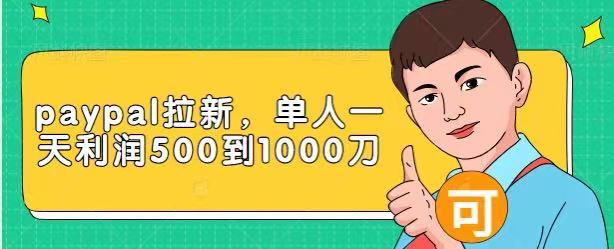 Paypal拉新赚美刀项目，单人一天利润500-1000刀【视频课程】-开心分享网