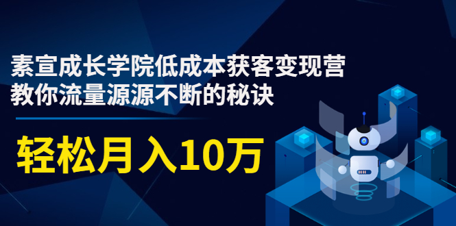 素宣成长学院低成本获客变现营，教你流量源源不断的秘诀，轻松月入10万-开心分享网
