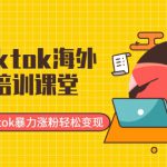 最新Tiktok海外掘金培训课堂：带你玩转Tiktok暴力涨粉轻松变现