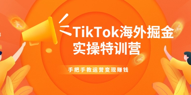 TikTok海外掘金实操特训营：手把手教运营变现赚钱-开心分享网
