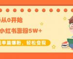 生财小红书涨粉变现：新账号从0开始3个月小红书涨粉5W+实现单篇爆粉