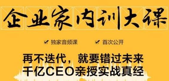 企业家内训大课，未来企业必学经验，价值1299元-开心分享网