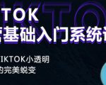 Tiktok实操进阶课程，体验从tiktok小透明到大佬的完美蜕变