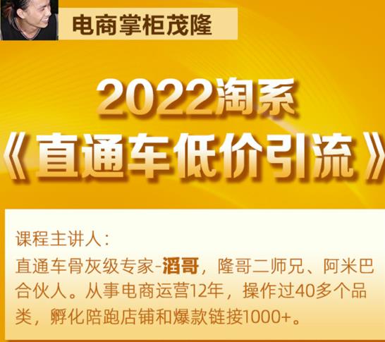 茂隆2022直通车低价引流玩法，教大家如何低投入高回报的直通车玩法-开心分享网