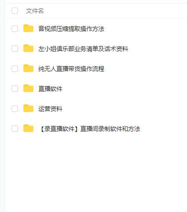 左小姐-直播带货俱乐部十三行、无人直播，全套教程附：工具、文档、话术资料-开心分享网
