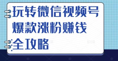 玩转微信视频号爆款涨粉赚钱全攻略，让你快速抓住流量风口，收获红利财富-开心分享网