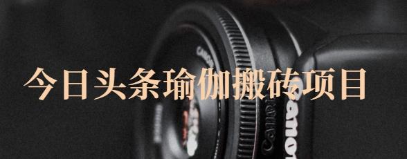 猎人社区·今日头条瑜伽搬砖项目,单号一天几十收入,可以批量操作!-开心分享网