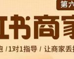 贾真-小红书商家营第6期商家版，21天带货陪跑课，让商家丢掉付流量