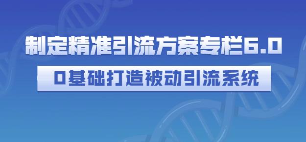 制定精准引流方案专栏6.0，0基础打造被动引流系统-开心分享网