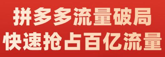 阿杰·拼多多流量破局:如何打黑标，爆款的思路，拼多多流量框架，快速抢占百亿流量-开心分享网