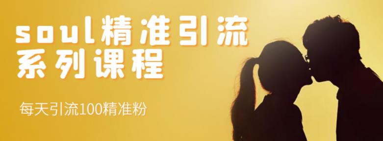 soul精准引流系列课程，每天引流100精准粉-开心分享网