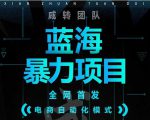 引流哥蓝海暴力躺赚项目：无需发圈无需引流无需售后，每单赚50-500（教程+线报群)