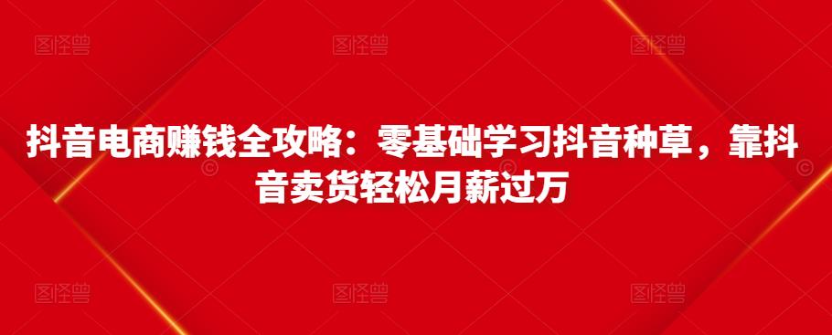 抖音电商赚钱全攻略:零基础学习抖音种草,靠抖音卖货轻松月薪过万-开心分享网