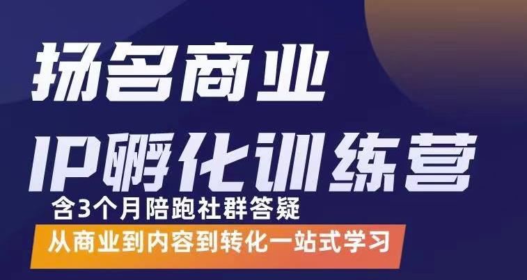 杨名商业IP孵化训练营，从商业到内容到转化一站式学 价值5980元-开心分享网