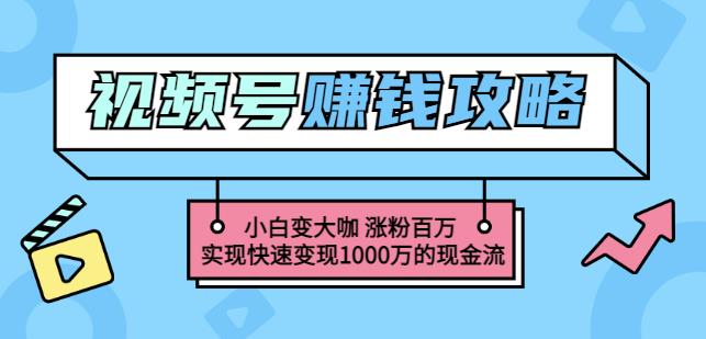 玩转微信视频号赚钱:小白变大咖涨粉百万实现快速变现1000万的现金流-开心分享网