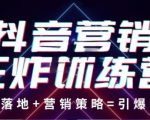 抖音营销王炸训练营，实操落地+营销策略=引爆流量（价值8960元）