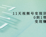 11天视频号变现训练营，从0到1打造变现赚钱系统（价值398元）