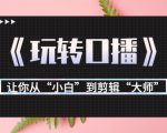 月营业额700万+大佬教您《玩转口播》让你从“小白”到剪辑“大师”