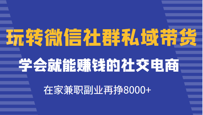 玩转微信社群私域带货，学会就能赚钱的社交电商，在家兼职副业再挣8000+-开心分享网