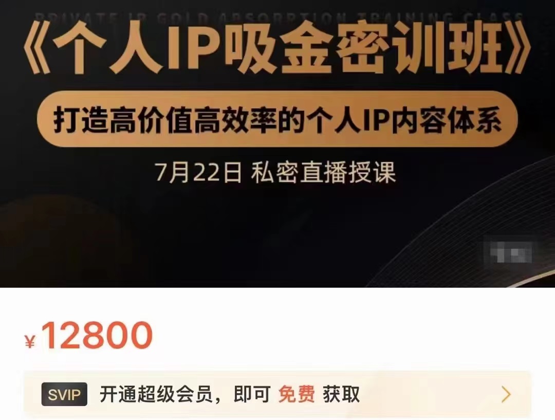个人IP吸金密训班,打造高价值高效率的个人IP内容体系(价值12800元)-开心分享网