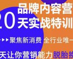 《内容营销实操特训营》20天让你营销能力脱胎换骨（价值3999）