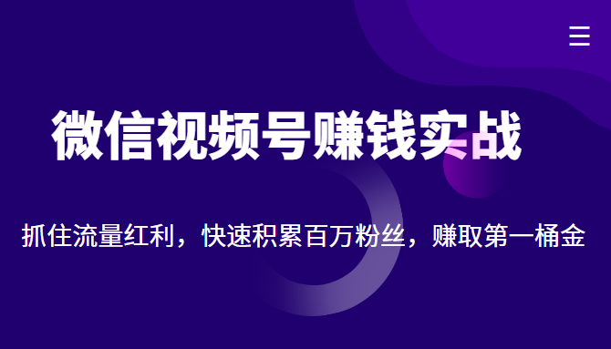 微信视频号赚钱实战：抓住流量红利，快速积累百万粉丝，赚取你的第一桶金-开心分享网