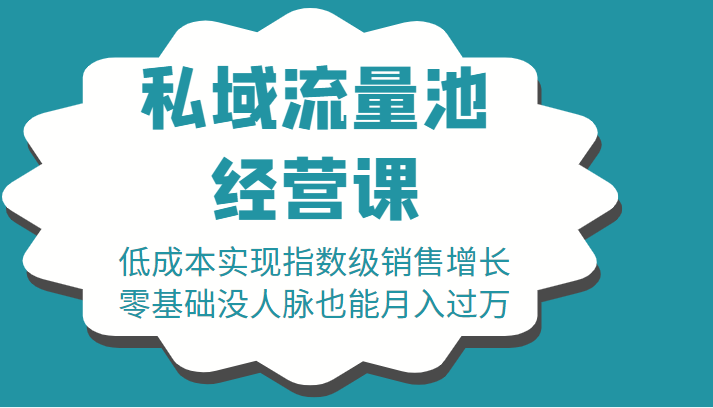 16堂私域流量池经营课：低成本实现指数级销售增长，零基础没人脉也能月入过万-开心分享网