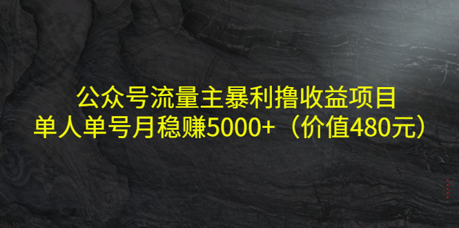 公众号流量主暴利撸收益项目，单人单号月稳赚5000+（价值480元）-开心分享网