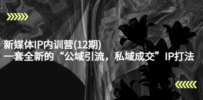 新媒体IP内训营(12期)，一套全新的“公域引流，私域成交”IP打法，直接带走-开心分享网