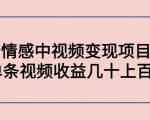 副业孵化营第5期：抖音情感中视频变现项目孵化 单条视频收益几十上百