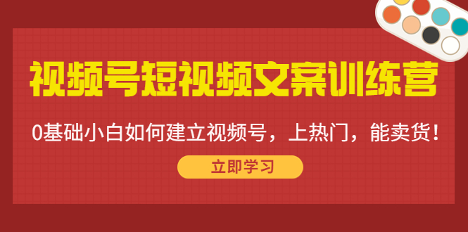 视频号短视频文案训练营:0基础小白如何建立视频号,上热门,能卖货!-开心分享网
