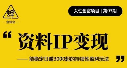 资料IP变现，能稳定日赚3000起的持续性盈利玩法-开心分享网