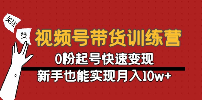 视频号带货训练营：0粉起号快速变现，新手也能实现月入10w+-开心分享网