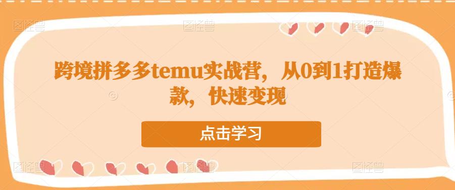 跨境拼多多temu实战营,从0到1打造爆款,快速变现-开心分享网