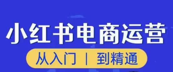 顽石小红书电商高阶运营课程，从入门到精通，玩法流程持续更新-开心分享网