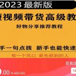 2023短视频好物分享带货，好物带货高级教程，高手一句点拨，新手也能快速上手