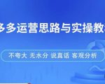 拼多多店铺运营思路与实操教程,快速学会拼多多开店和运营,少踩坑,多盈利-开心分享网