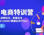 美团电商特训营:美团·店群玩法,无脑铺货月产出6000-15000+精细化月产2w+-开心分享网