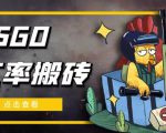 外面9800的CSGO汇率搬砖项目,一个月轻松赚几千【选品软件+详细教程】-开心分享网