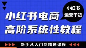 小红书电商高阶系统教程,新手从入门到精通系统课-开心分享网