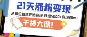 21天精准涨粉变现干货大课:从10位粉丝开始变现月增5000+变现20w+-开心分享网