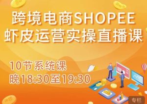 跨境电商Shopee虾皮运营实操直播课,从零开始学,入门到精通(10节系统课)-开心分享网