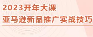 2023亚马逊新品推广实战技巧，线下百万美金课程的精简版，简单粗暴可复制，实操性强的推广手段-开心分享网