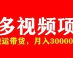 多多带货视频快速50爆款拿带货资格,搬运带货,月入30000【全套脚本+详细玩法】-开心分享网