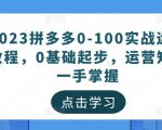 2023拼多多0-100实战运营教程,0基础起步,运营知识一手掌握-开心分享网