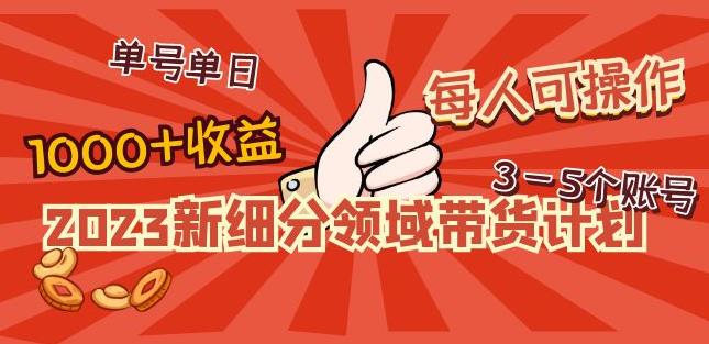 2023新细分领域带货计划:单号单日1000+收益不难,每人可操作3-5个账号-开心分享网